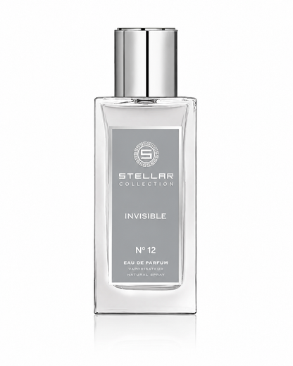 Invisible No. 12