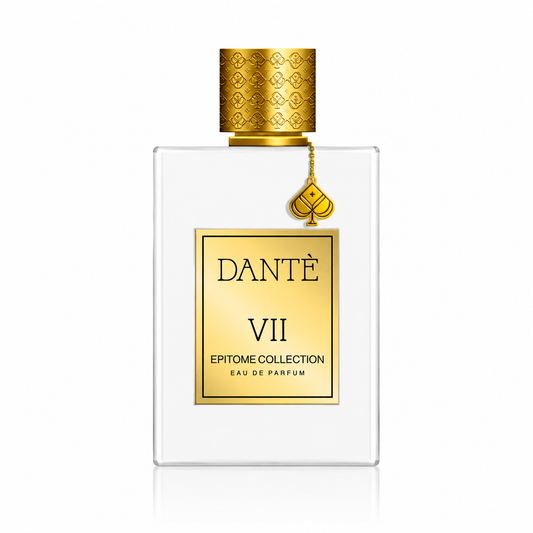 Dantè VII Epitome Collection